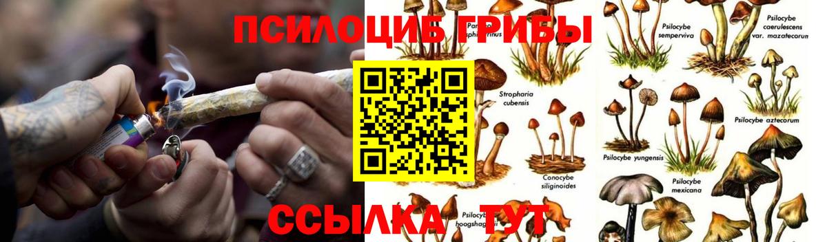 Галлюциногенные грибы MAGIC MUSHROOMS  Вход с VPN  Людиново 